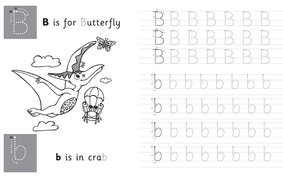 Trace & Learn Handwriting Practice: Dinosaur