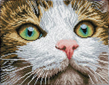 Green Eyed Beauty (Framed)