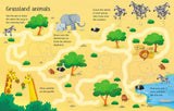 Wipe-Clean Animal Activities : Usborne
