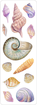 Seashells Sticker Set