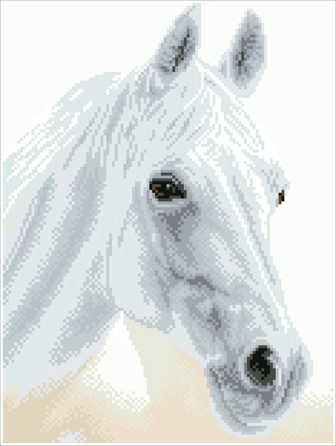 Arabian Beauty (Framed Square)
