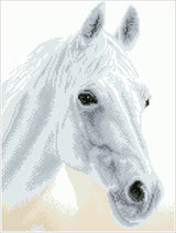Arabian Beauty (Framed Square)
