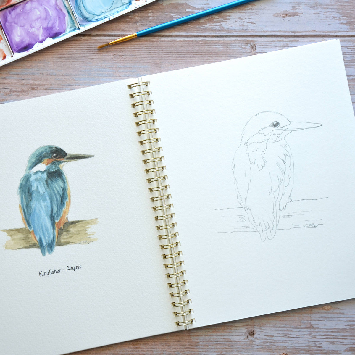Watercolor workbook, Birth Month Birds Watercoloring book