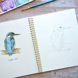 Watercolor workbook, Birth Month Birds Watercoloring book