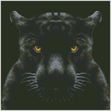If Looks Could Kill (Framed Square)