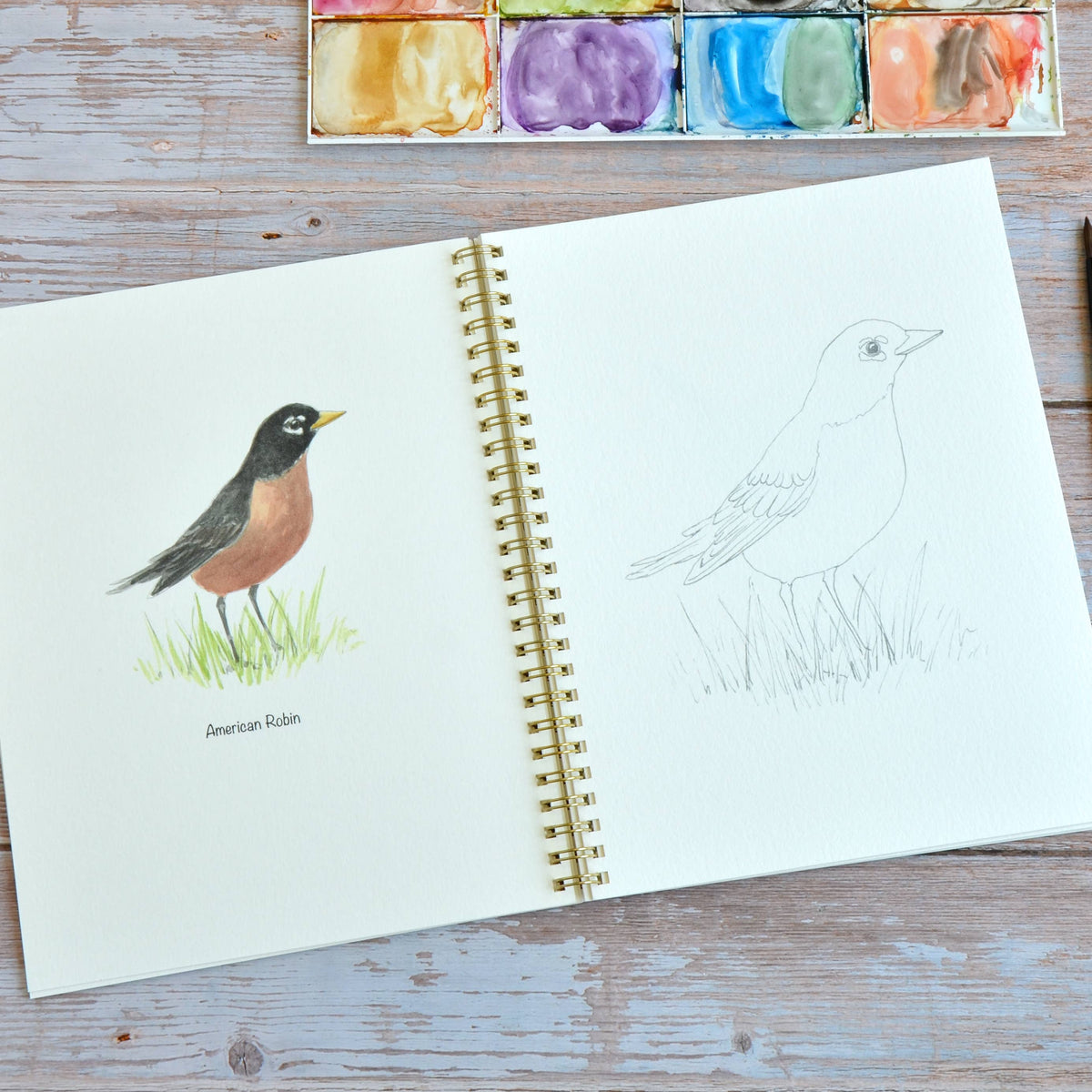 Watercolor workbook, Backyard Birds Watercoloring book