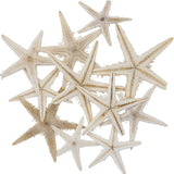 Mini Starfish 1-2"