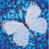 Flutter by White