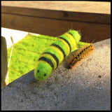 Bugs Felting Kit