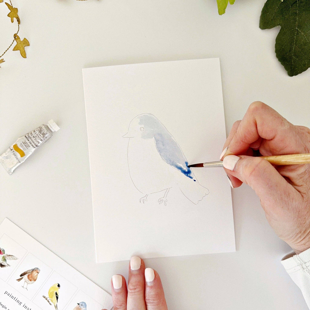 Backyard birds Emily Lex paintable notecards