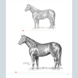 How to Draw Step by Step: A Guide to Realistic Drawing
