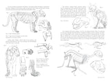 Morpho: Mammals