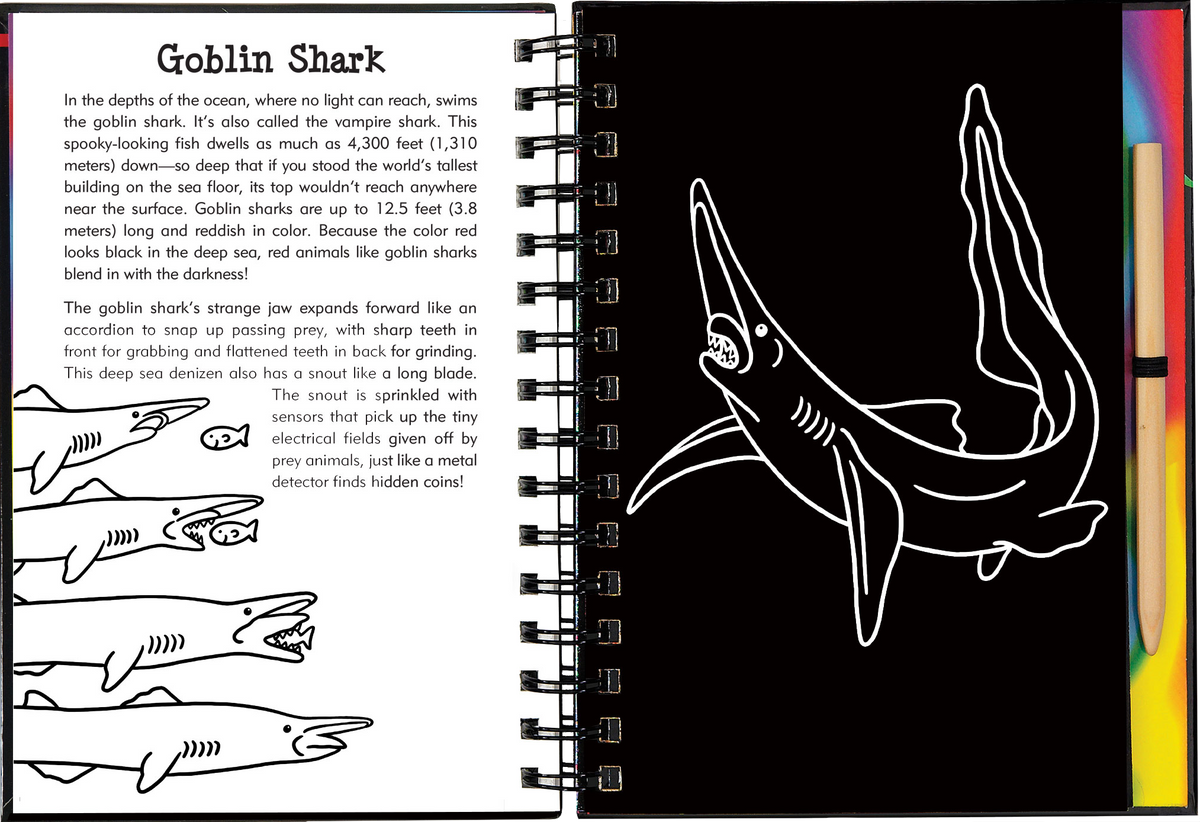 Scratch & Sketch™ Sharks