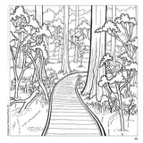 Ultimate National Parks Coloring Book - Amazing Scenes