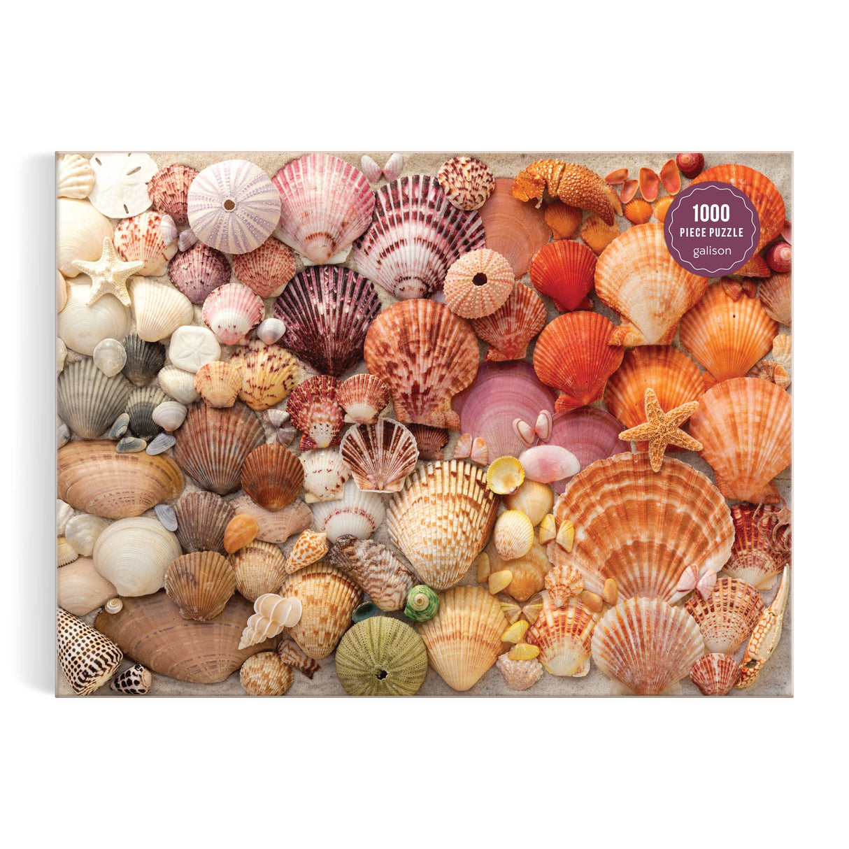 Vibrant Seashells 1000 Piece Puzzle