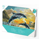 Dolphin Sunset (Framed Square)
