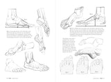 Morpho: Hands And Feet