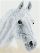 Arabian Beauty (Framed Square)