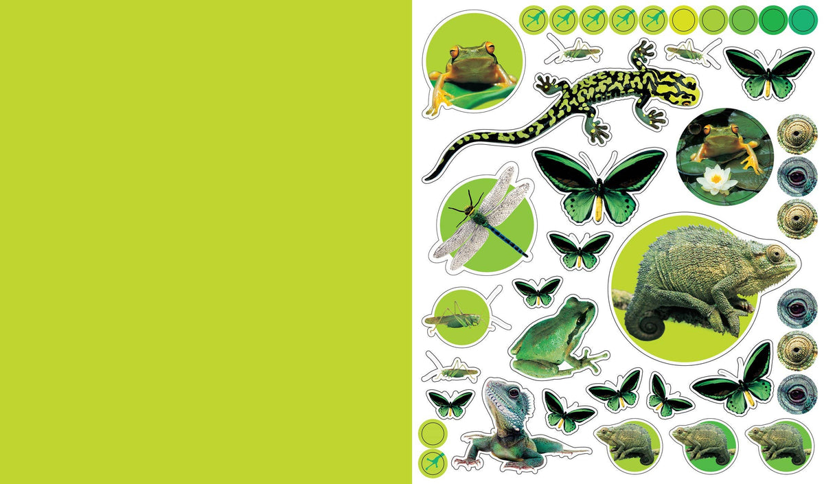 Eyelike Stickers Deluxe: Animal Kingdom