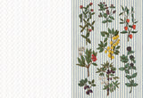 Collage Compendium