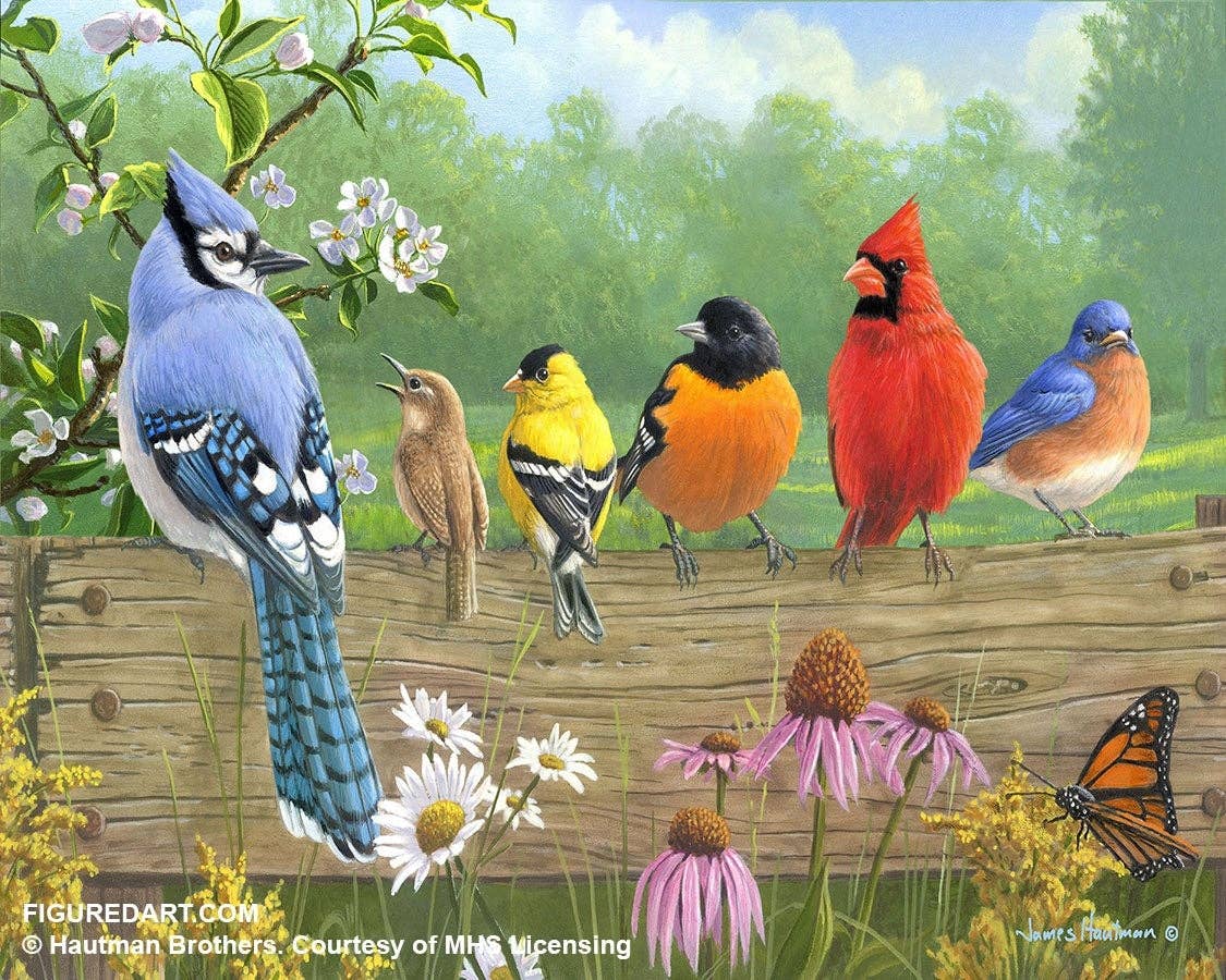 Figured'Art Paint By Number  Rolled Kit -Birds on a Fence