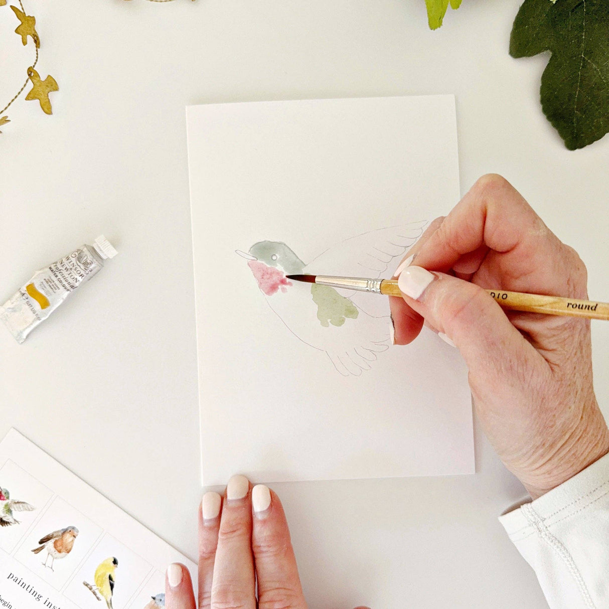 Backyard birds Emily Lex paintable notecards