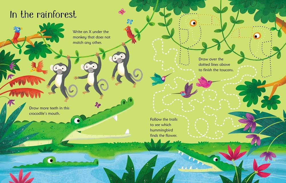 Wipe-Clean Animal Activities : Usborne