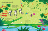 Wipe-Clean Animal Activities : Usborne