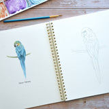 Watercolor workbook, Birth Month Birds Watercoloring book
