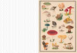 Collage Compendium