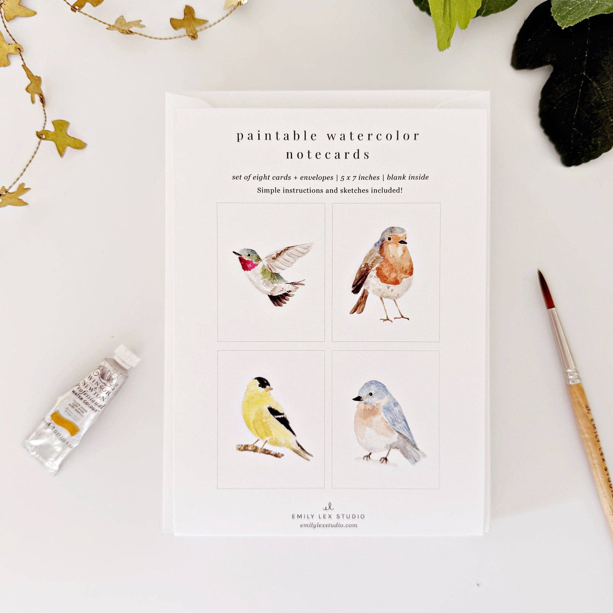 Backyard birds Emily Lex paintable notecards