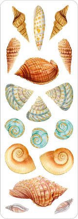 Seashells Sticker Set