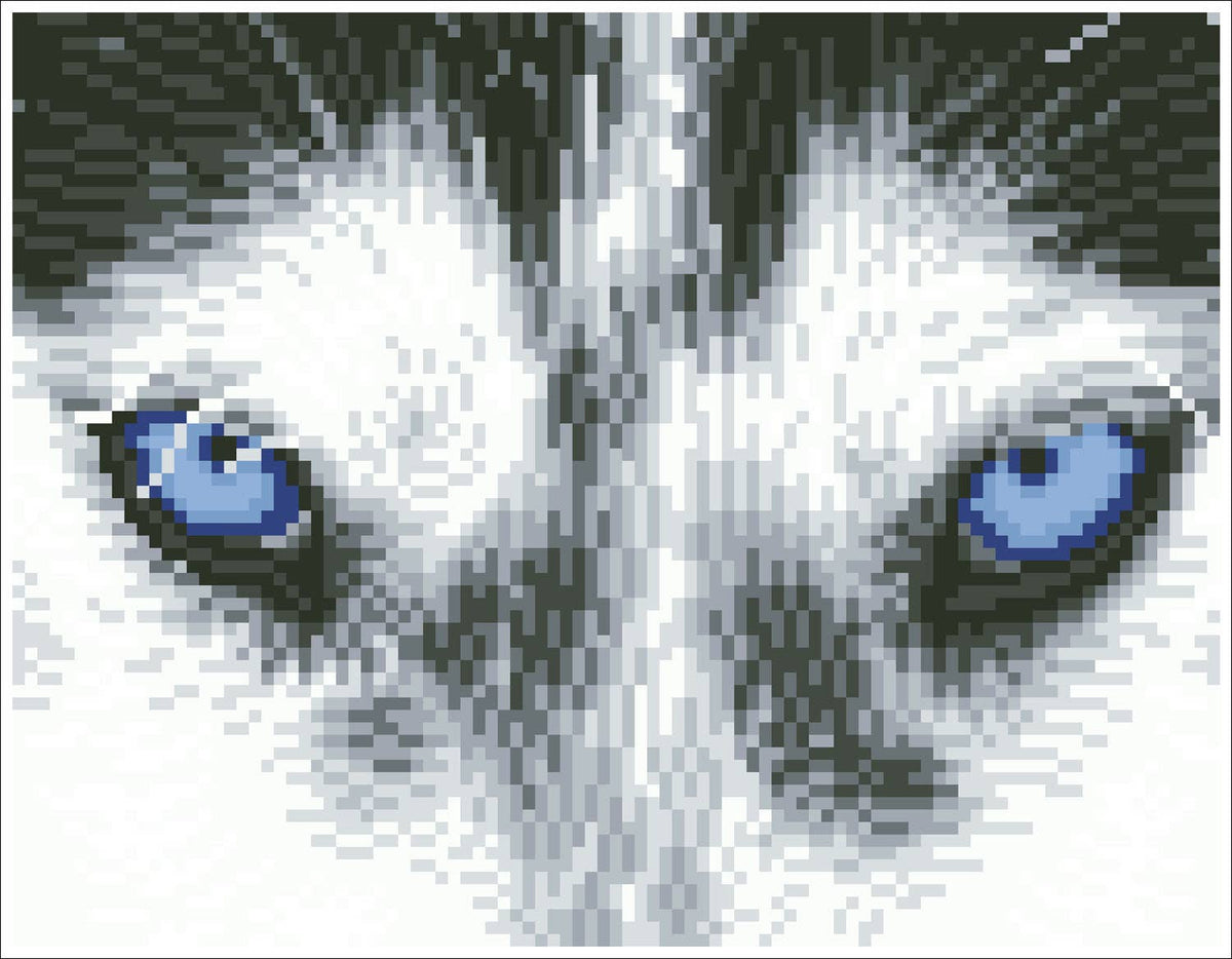 Mystic Husky (Framed Square)