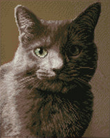 Smokey (Framed Square)