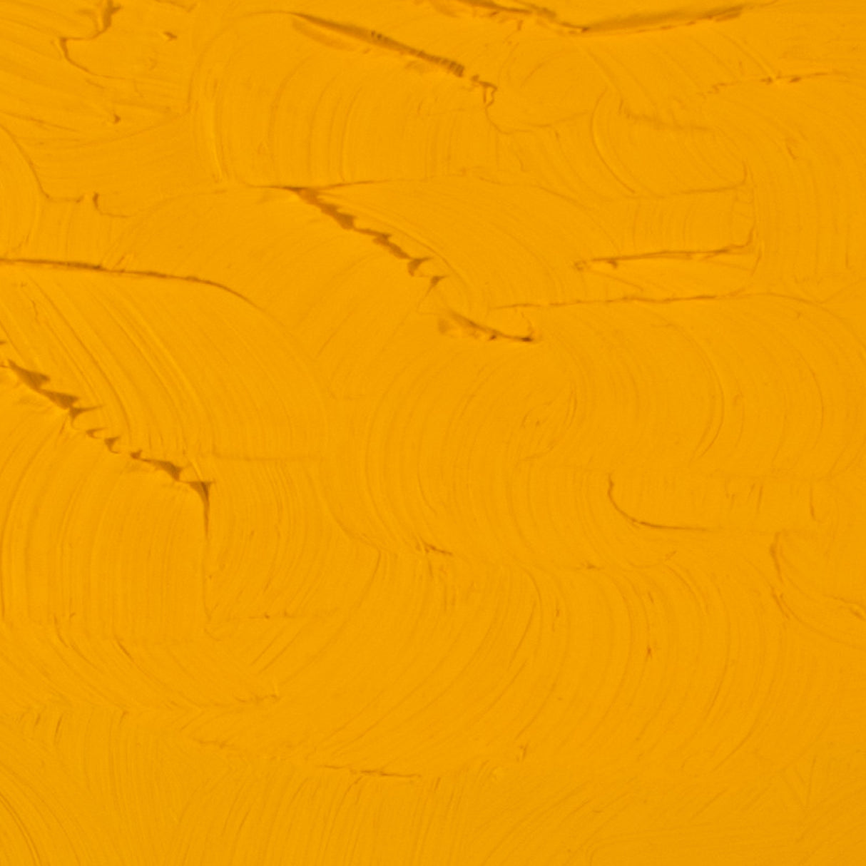 Gamblin Artist Grade Oil Color, 150ml, Cadmium Yellow Deep