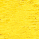 Williamsburg Artist Oil Color, 37ml Tube, Permanent Yellow Light