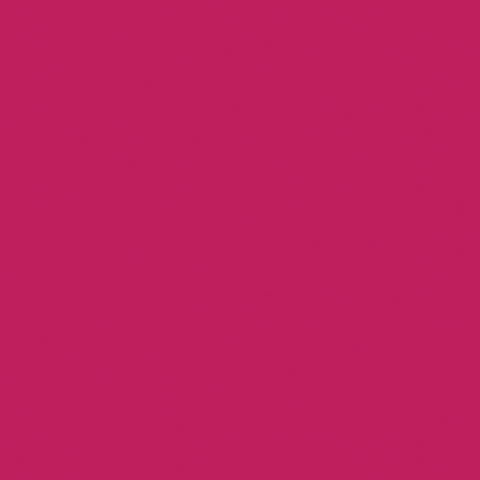 DecoArt Crafter's Acrylic Paint, 2 oz., Fruit Punch
