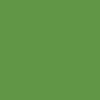 Uchida Le Pen, Olive Green