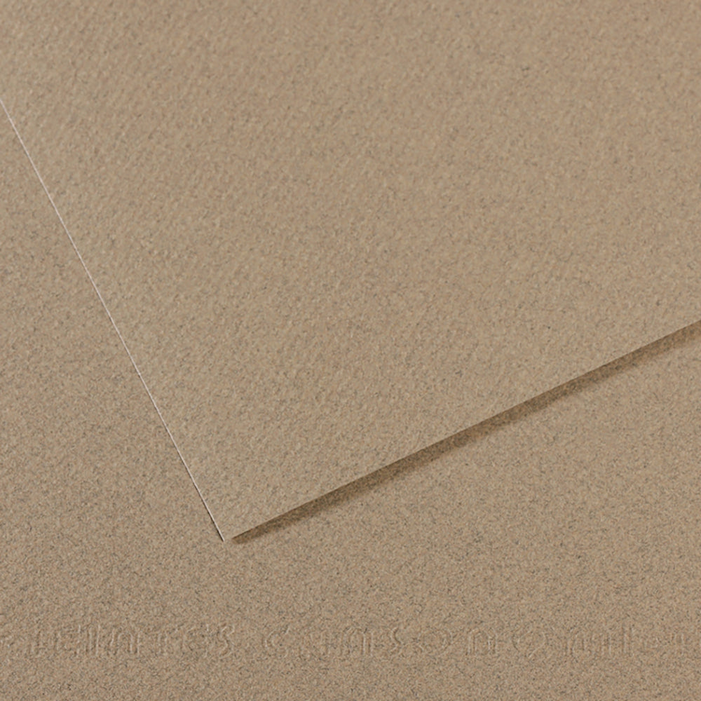 Canson Mi-Teintes Paper Sheet, Felt Gray