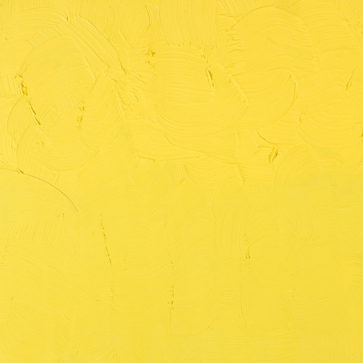 Gamblin Artist Grade Oil Color, 37ml, Cadmium Lemon