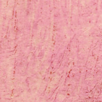 Williamsburg Artist Oil Color, 37ml Tube, Dianthus Pink