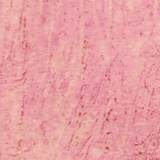 Williamsburg Artist Oil Color, 37ml Tube, Dianthus Pink