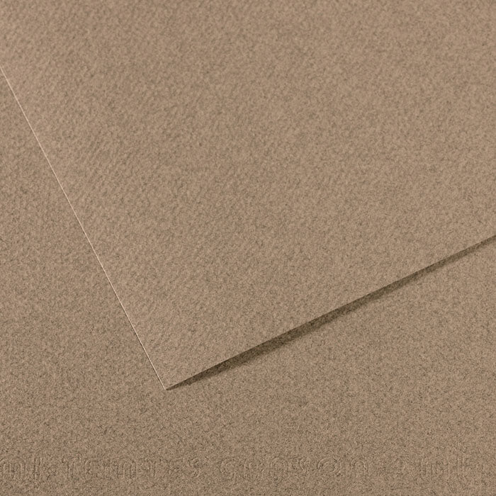 Canson Mi-Teintes Paper Sheet, Steel Gray