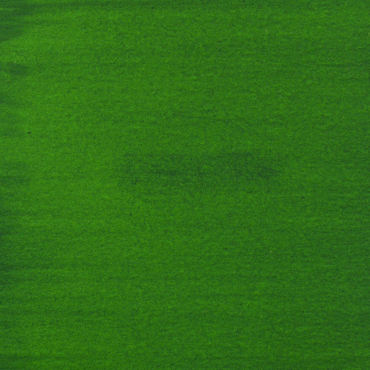 Amsterdam Acrylic Ink, 30ml, Permanent Green Light