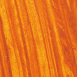 Williamsburg Artist Oil Color, 37ml Tube, Alizarin Orange