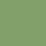 DecoArt Crafter's Acrylic Paint, 2 oz., Olive Green