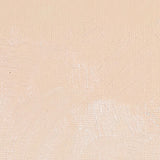 Williamsburg Artist Oil Color, 37ml Tube, Titan Buff