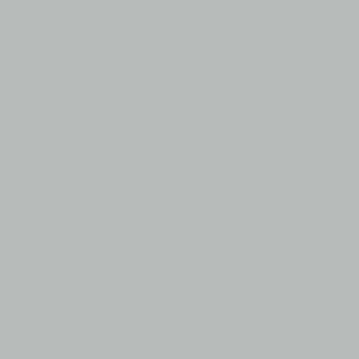 POSCA Paint Marker, PC-5M Medium Bullet, Silver