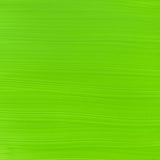 Amsterdam Standard Series Acrylic Paint, 120ml, Reflex Green