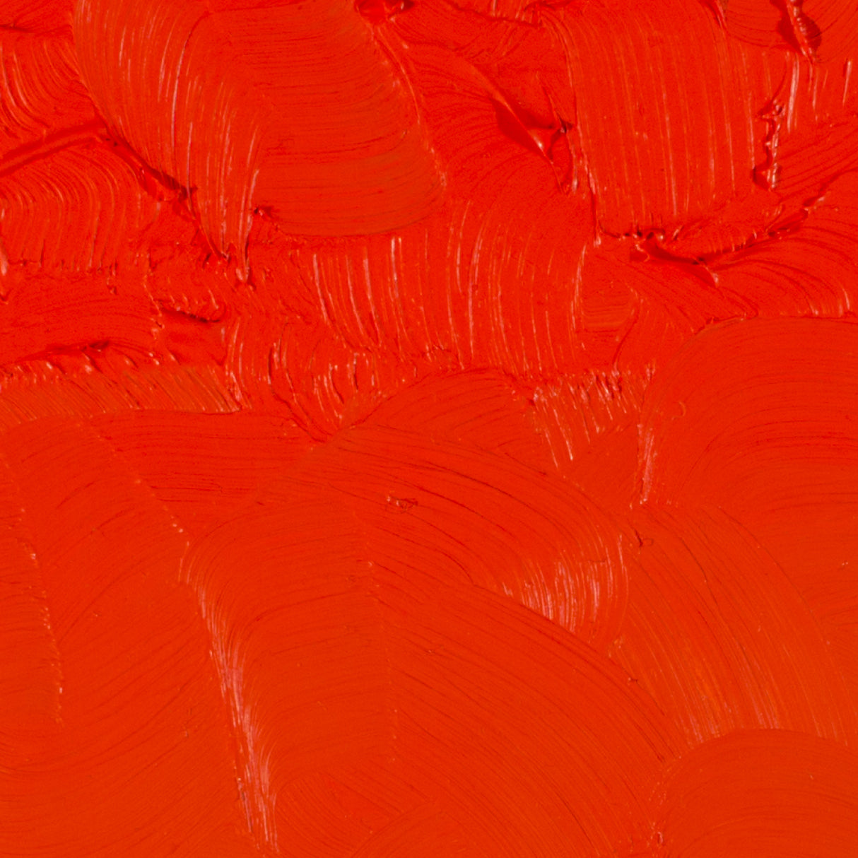 Gamblin Artist Grade Oil Color, 37ml, Cadmium Red Light